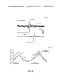 OPTOGENETIC MAGNETIC RESONANCE IMAGING diagram and image