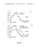 OPTOGENETIC MAGNETIC RESONANCE IMAGING diagram and image