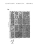 NANOCRYSTAL TITANIUM ALLOY AND PRODUCTION METHOD FOR SAME diagram and image