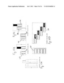 Position Control Apparatus diagram and image