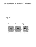 IMAGING SYSTEM AND METHOD USING SPATIALLY SEPARATED RADIATED FIELDS diagram and image