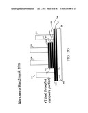 Nanomesh SRAM Cell diagram and image