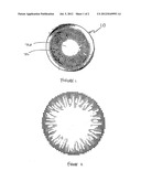 Colored Contact Lenses With a More Natural Appearance diagram and image