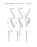 Objective Lens Element diagram and image