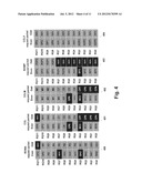 MULTI-COLUMN ADDRESSING MODE MEMORY SYSTEM INCLUDING AN INTEGRATED CIRCUIT     MEMORY DEVICE diagram and image