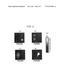 IMAGE PROCESSING APPARATUS, IMAGE PROCESSING METHOD AND IMAGE PROCESSING     PROGRAM diagram and image