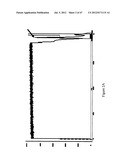 IMMUNO-CONJUGATES AND METHODS FOR PRODUCING THEM diagram and image