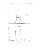 IMMUNO-CONJUGATES AND METHODS FOR PRODUCING THEM diagram and image