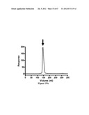 IMMUNO-CONJUGATES AND METHODS FOR PRODUCING THEM diagram and image