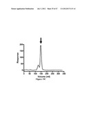 IMMUNO-CONJUGATES AND METHODS FOR PRODUCING THEM diagram and image