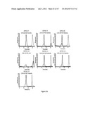 IMMUNO-CONJUGATES AND METHODS FOR PRODUCING THEM diagram and image