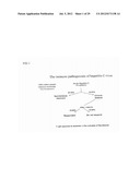 METHODS OF USING sIP-10, CD26 INHIBITORS AND CXCR3 LEVELS IN A SAMPLE TO     ASSESS CLEARANCE OF INFECTION, RESPONSE TO INTERFERON THERAPY, AND     TREATING CHRONIC INFECTIONS diagram and image