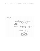 METHODS OF USING sIP-10, CD26 INHIBITORS AND CXCR3 LEVELS IN A SAMPLE TO     ASSESS CLEARANCE OF INFECTION, RESPONSE TO INTERFERON THERAPY, AND     TREATING CHRONIC INFECTIONS diagram and image