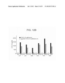 METHODS OF USING sIP-10, CD26 INHIBITORS AND CXCR3 LEVELS IN A SAMPLE TO     ASSESS CLEARANCE OF INFECTION, RESPONSE TO INTERFERON THERAPY, AND     TREATING CHRONIC INFECTIONS diagram and image