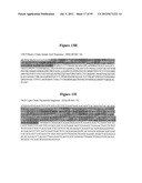 HIGH AFFINITY ANTIBODIES THAT NEUTRALIZE STAPHYLOCOCCUS ENTEROTOXIN B diagram and image