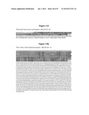 HIGH AFFINITY ANTIBODIES THAT NEUTRALIZE STAPHYLOCOCCUS ENTEROTOXIN B diagram and image