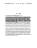 HIGH AFFINITY ANTIBODIES THAT NEUTRALIZE STAPHYLOCOCCUS ENTEROTOXIN B diagram and image