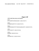 HIGH AFFINITY ANTIBODIES THAT NEUTRALIZE STAPHYLOCOCCUS ENTEROTOXIN B diagram and image