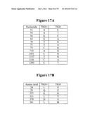 HIGH AFFINITY ANTIBODIES THAT NEUTRALIZE STAPHYLOCOCCUS ENTEROTOXIN B diagram and image