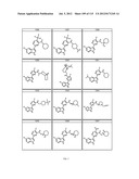 INHIBITORS OF INFLUENZA VIRUSES REPLICATION diagram and image