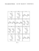 INHIBITORS OF INFLUENZA VIRUSES REPLICATION diagram and image