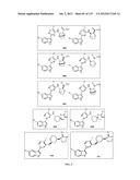 INHIBITORS OF INFLUENZA VIRUSES REPLICATION diagram and image