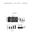 METHODS AND COMPOSITIONS FOR THE TREATMENT AND DIAGNOSIS OF STATIN-INDUCED     MYOPATHY diagram and image