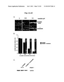 METHODS AND COMPOSITIONS FOR THE TREATMENT AND DIAGNOSIS OF STATIN-INDUCED     MYOPATHY diagram and image