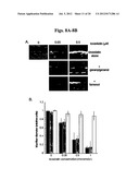 METHODS AND COMPOSITIONS FOR THE TREATMENT AND DIAGNOSIS OF STATIN-INDUCED     MYOPATHY diagram and image