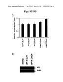 METHODS AND COMPOSITIONS FOR THE TREATMENT AND DIAGNOSIS OF STATIN-INDUCED     MYOPATHY diagram and image