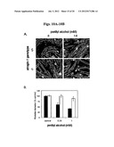 METHODS AND COMPOSITIONS FOR THE TREATMENT AND DIAGNOSIS OF STATIN-INDUCED     MYOPATHY diagram and image