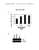 METHODS AND COMPOSITIONS FOR THE TREATMENT AND DIAGNOSIS OF STATIN-INDUCED     MYOPATHY diagram and image