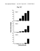 METHODS AND COMPOSITIONS FOR THE TREATMENT AND DIAGNOSIS OF STATIN-INDUCED     MYOPATHY diagram and image