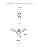 Stabilized Aptamers To Platelet Derived Growth Factor And Their Use As     Oncology Therapeutics diagram and image