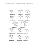 Stabilized Aptamers To Platelet Derived Growth Factor And Their Use As     Oncology Therapeutics diagram and image