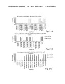 Stabilized Aptamers To Platelet Derived Growth Factor And Their Use As     Oncology Therapeutics diagram and image