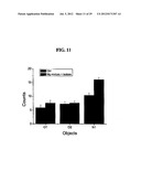 Magnesium Compositions and Uses Thereof for Neurological Disorders diagram and image