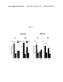 Magnesium Compositions and Uses Thereof for Neurological Disorders diagram and image