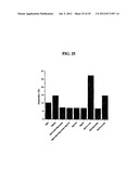 Magnesium Compositions and Uses Thereof for Neurological Disorders diagram and image