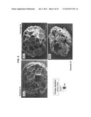 Amorphous Protein Extrudates diagram and image