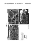 Amorphous Protein Extrudates diagram and image