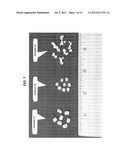 Amorphous Protein Extrudates diagram and image