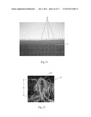 TUFTED FIBROUS WEB diagram and image