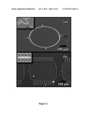 ORDERED ASSEMBLY OF NANOPARTICLES IN SPATIALLY DEFINED REGIONS diagram and image