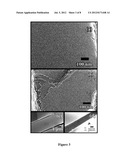 ORDERED ASSEMBLY OF NANOPARTICLES IN SPATIALLY DEFINED REGIONS diagram and image