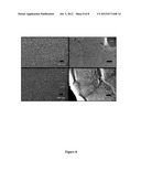 ORDERED ASSEMBLY OF NANOPARTICLES IN SPATIALLY DEFINED REGIONS diagram and image