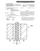 DIRECT METHANOL FUEL CELL AND ANODE USED THEREIN diagram and image