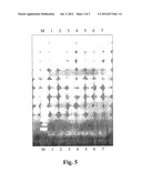 Detection of Antigens diagram and image