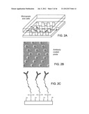 Rare Cell Analysis Using Sample Splitting And DNA Tags diagram and image