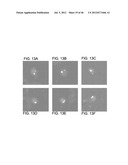 Rare Cell Analysis Using Sample Splitting And DNA Tags diagram and image